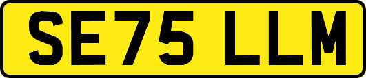 SE75LLM