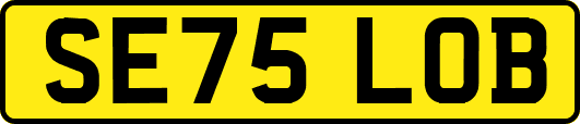 SE75LOB