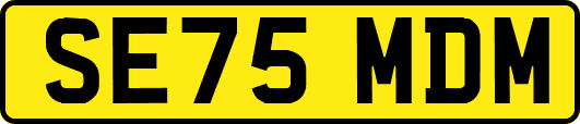 SE75MDM