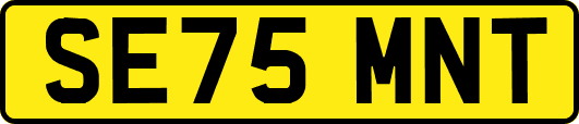 SE75MNT