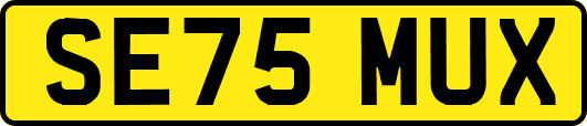 SE75MUX