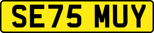 SE75MUY