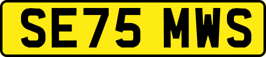 SE75MWS