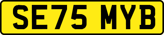 SE75MYB