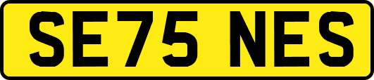 SE75NES