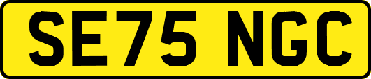 SE75NGC
