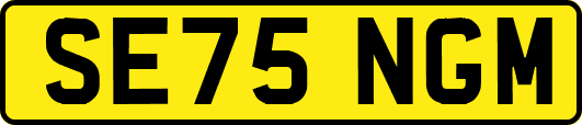 SE75NGM