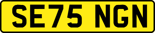 SE75NGN