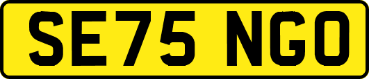 SE75NGO