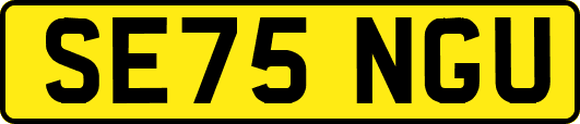 SE75NGU