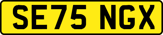 SE75NGX