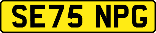 SE75NPG