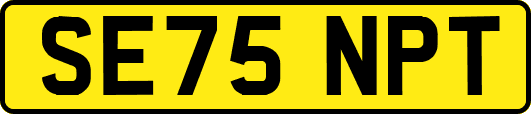 SE75NPT