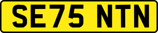 SE75NTN