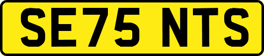 SE75NTS