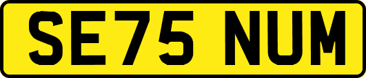 SE75NUM