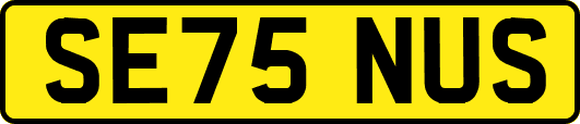 SE75NUS