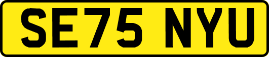 SE75NYU