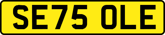 SE75OLE