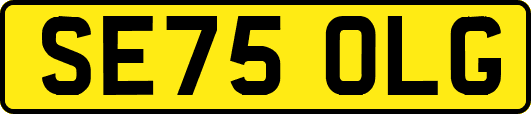 SE75OLG