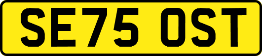 SE75OST
