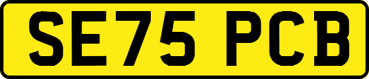 SE75PCB