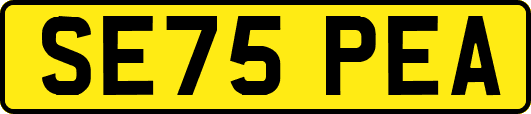 SE75PEA
