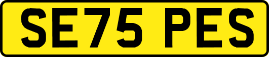 SE75PES