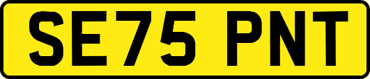 SE75PNT