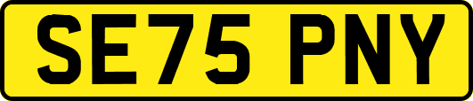 SE75PNY