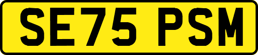 SE75PSM