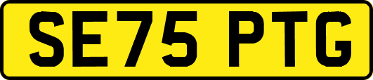 SE75PTG