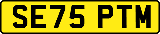 SE75PTM
