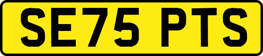 SE75PTS