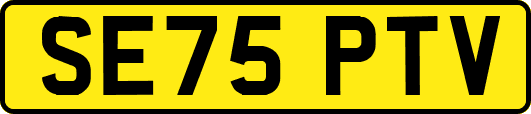 SE75PTV