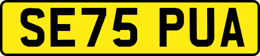 SE75PUA