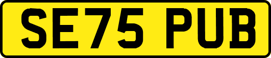 SE75PUB