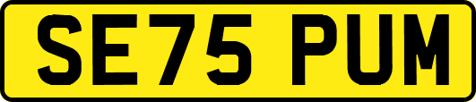 SE75PUM