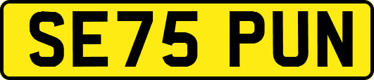 SE75PUN