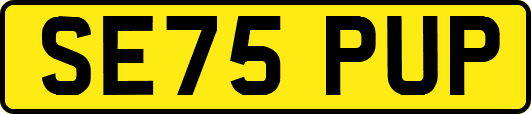 SE75PUP