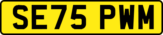 SE75PWM