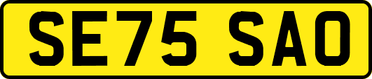 SE75SAO