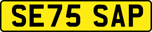 SE75SAP
