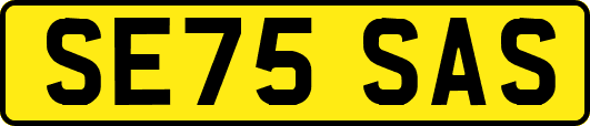 SE75SAS