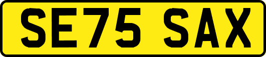 SE75SAX