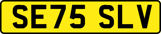 SE75SLV