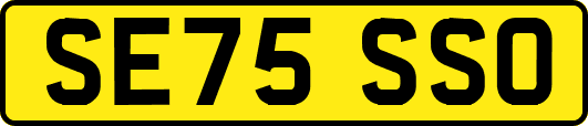 SE75SSO
