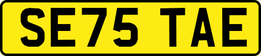 SE75TAE