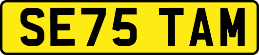 SE75TAM