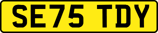 SE75TDY